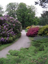 Rhododendron Park Graal-Mueritz 0241