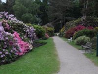 Rhododendron Park Graal-Mueritz 0261