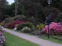 Rhododendron Park Graal-Mueritz 0271