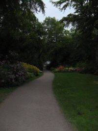 Rhododendron Park Graal-Mueritz 0341