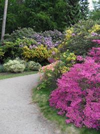 Rhododendron Park Graal-Mueritz 0361